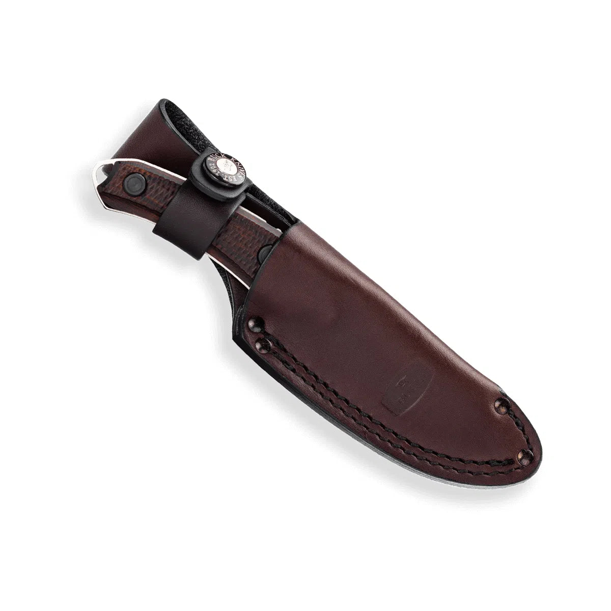 Buck Alpha Scout Walnut 662WAS Knife - Fraser Coast Outdoors