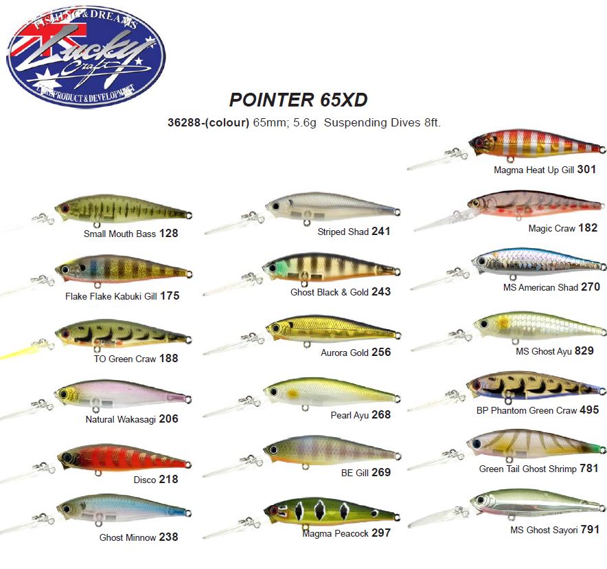 Lucky Craft Pointer 65 XD - Fraser Coast Outdoors