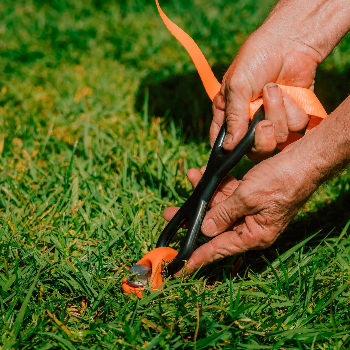 Ground Dogs Screw In Pegs with Hook Collars (1 Each) - Fraser Coast Outdoors