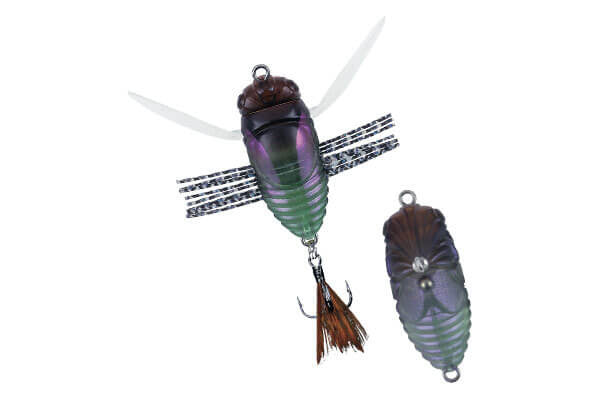 Duo Realis Shinmushi 40