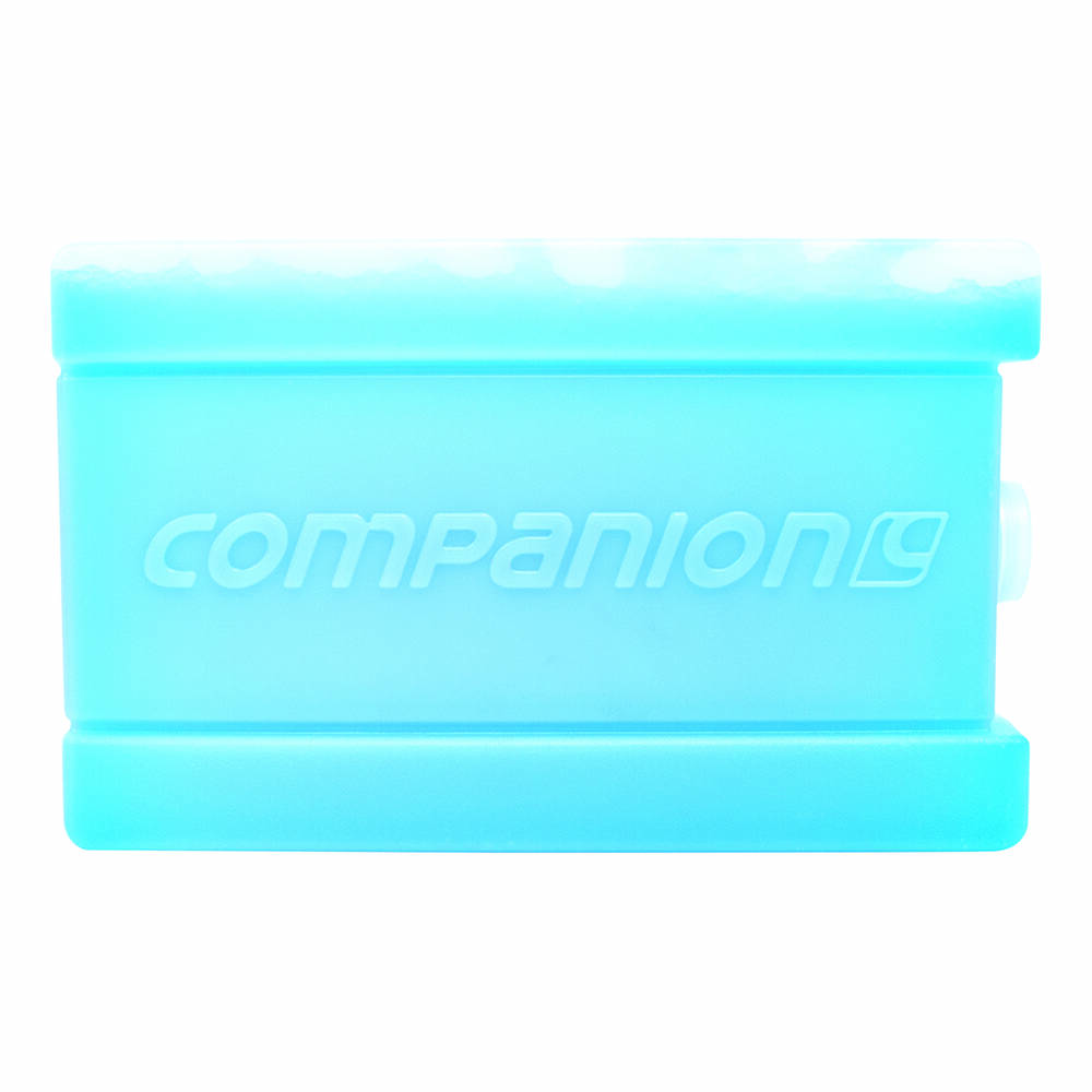 Companion Ice Brick Large - 750ml