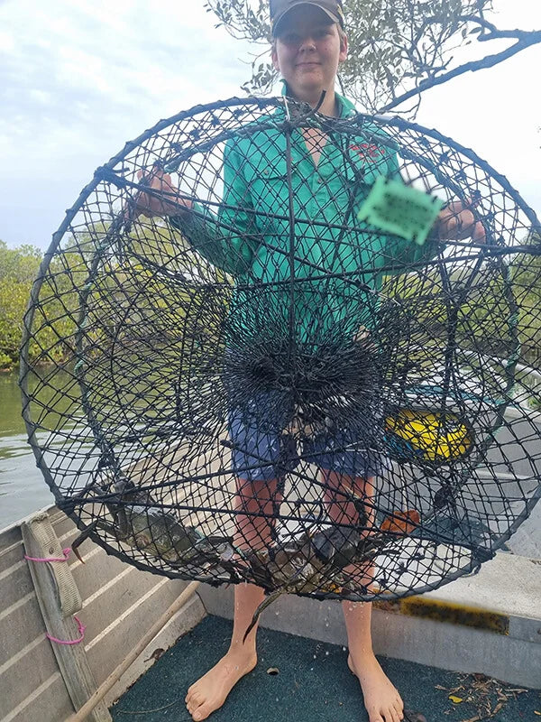 Crab Pot Pop Up 900mm Crab and Gear - Fraser Coast Outdoors