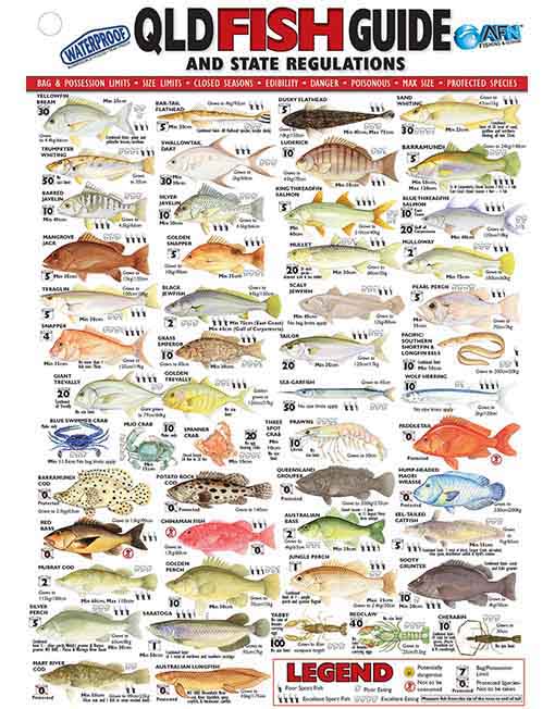 AFN QLD Fish ID Card- Vinyl - Fraser Coast Outdoors