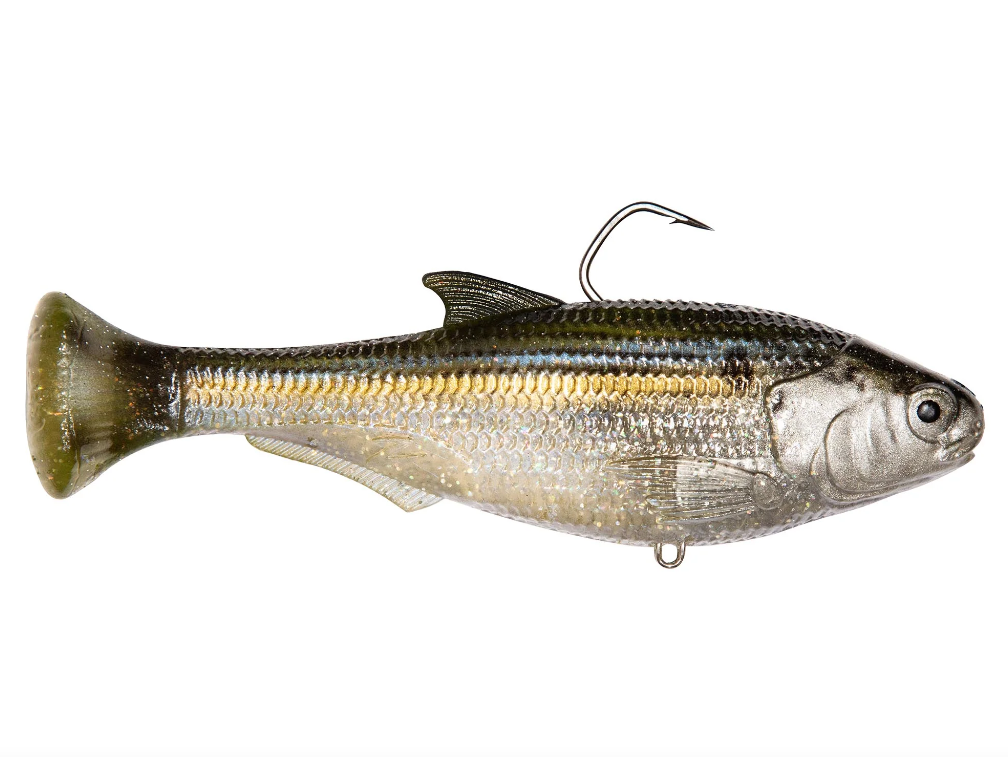 Zman Shadtron LT 6" - Fraser Coast Outdoors