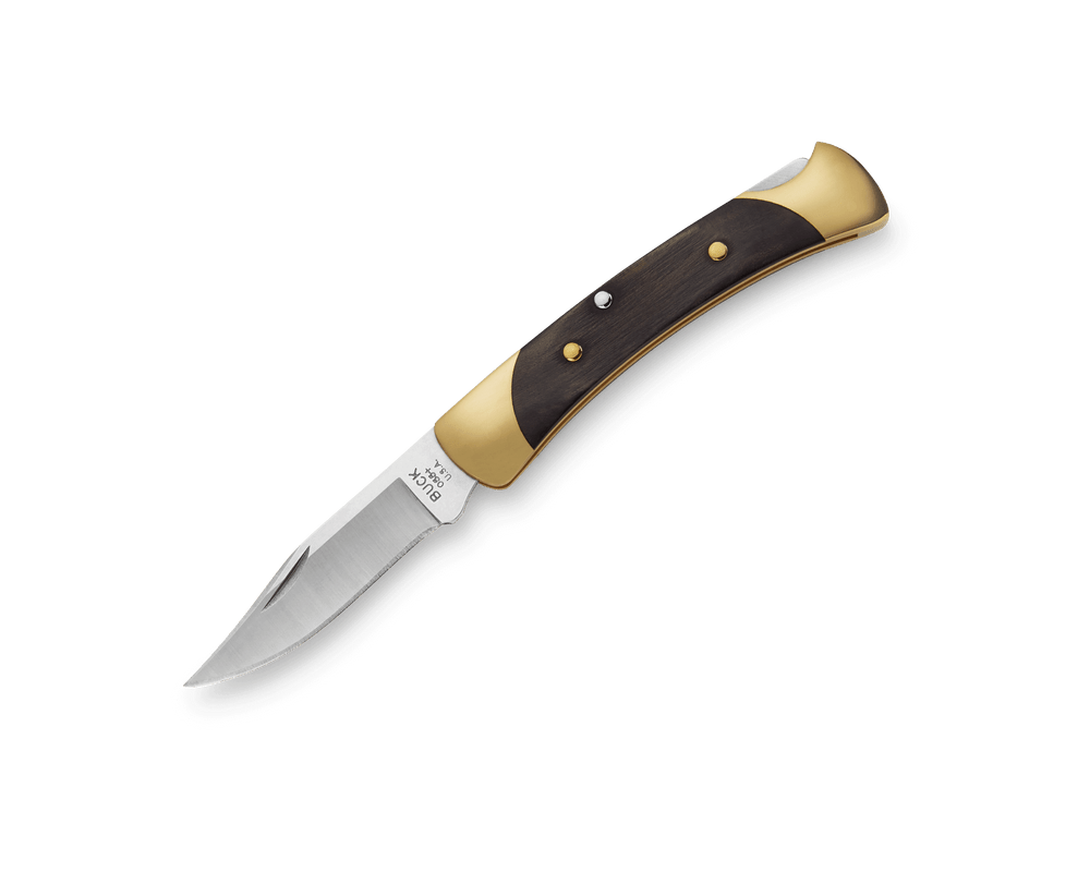 Buck Folding Hunter Halfsize 55BRS Knife