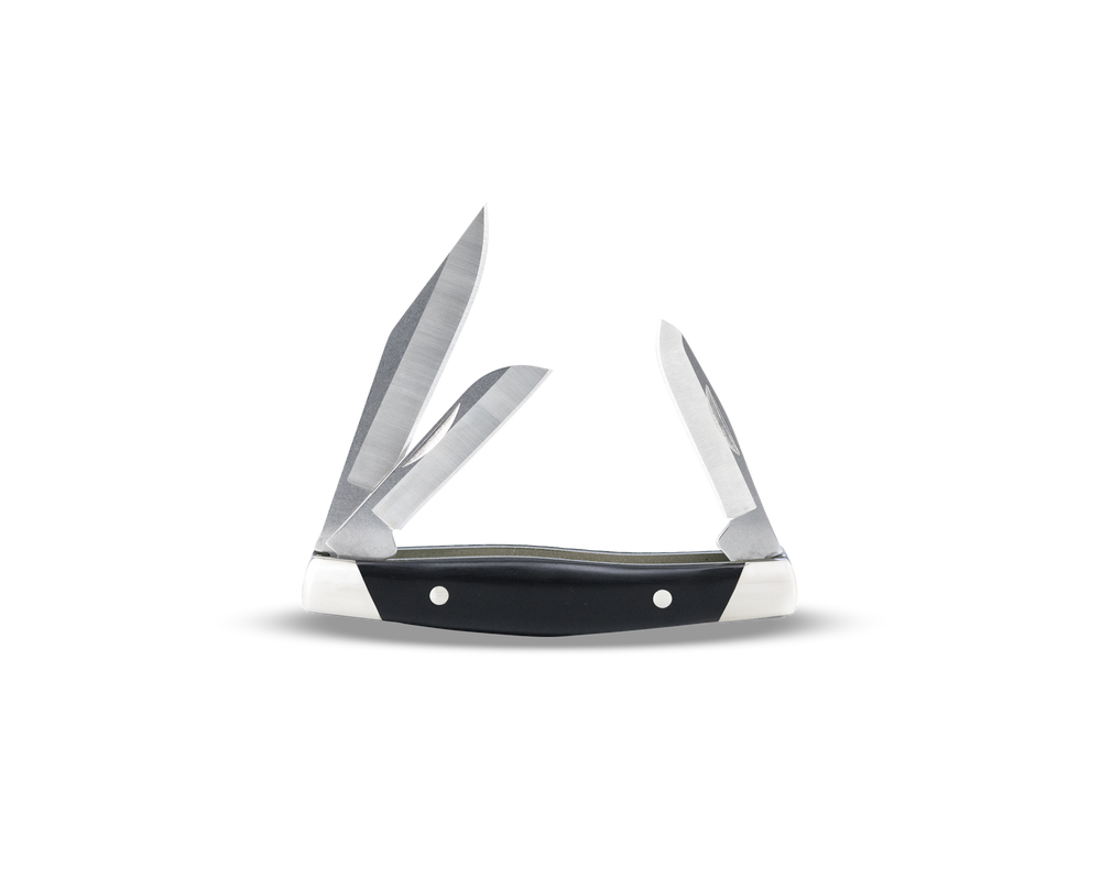 Buck Cadet 303BKS Knife