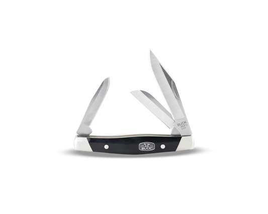 Buck Cadet 303BKS Knife