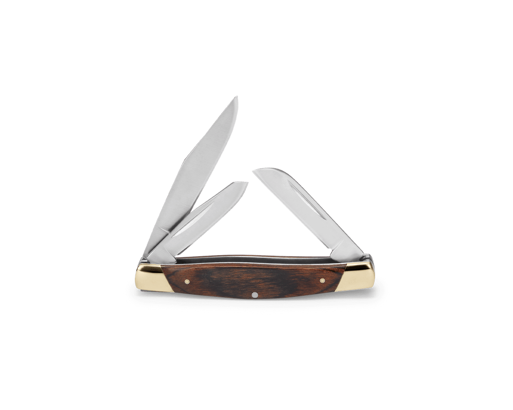 Buck Trio Woodgrain 373BRS Knife - Fraser Coast Outdoors