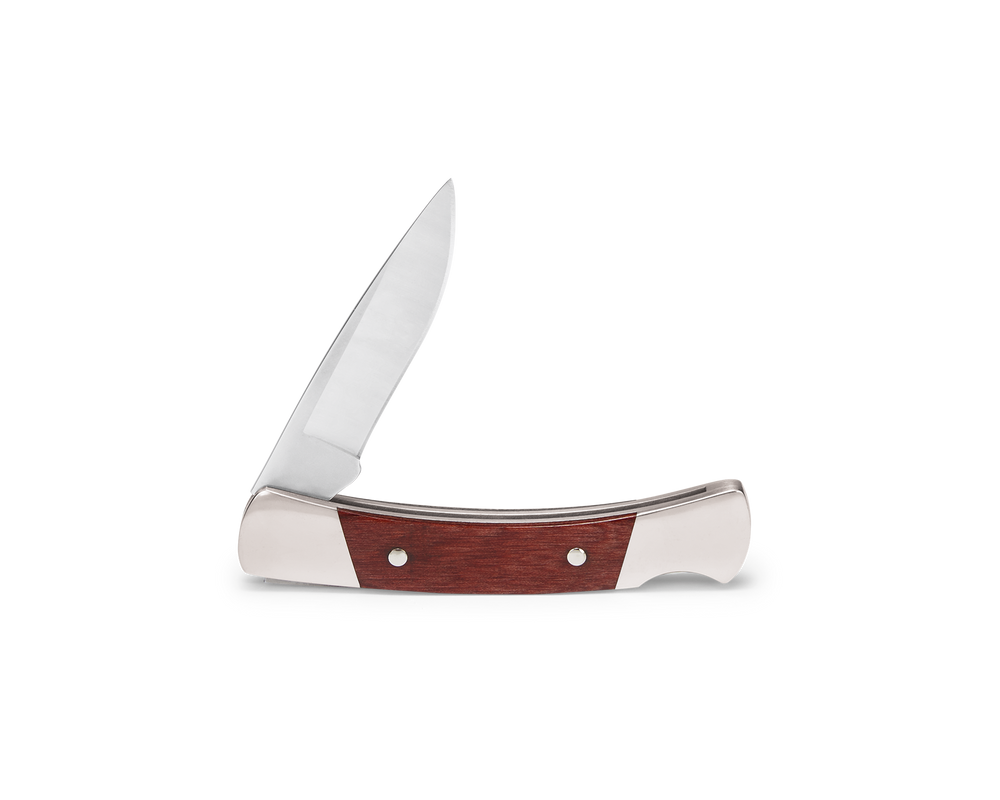 Buck Prince 503RWS Knife