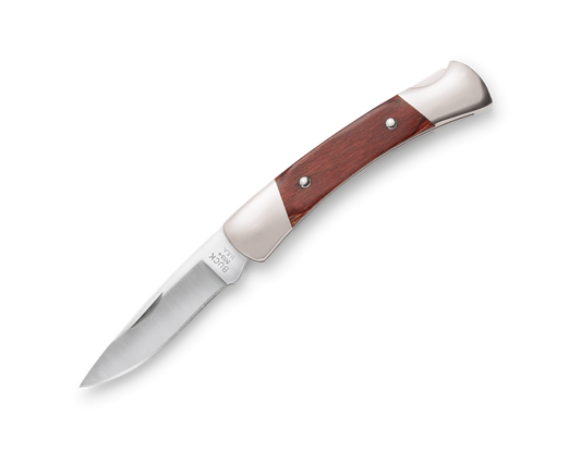 Buck Prince 503RWS Knife
