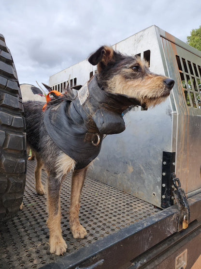 Get Belted 3/4 Chestplate - Fraser Coast Outdoors