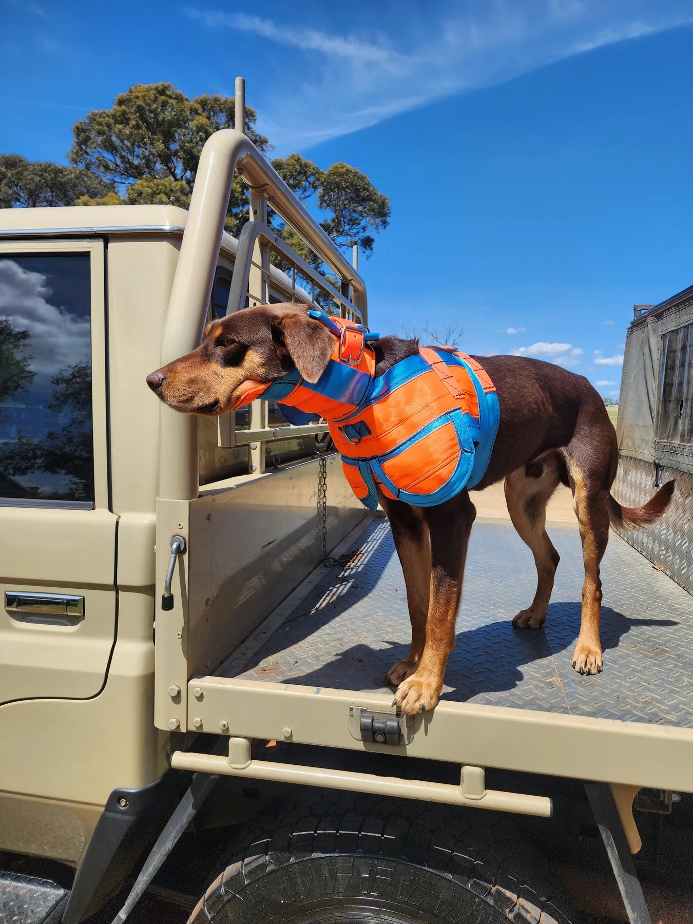 Get BeltedFull Chestplate with Leg Flaps - Fraser Coast Outdoors