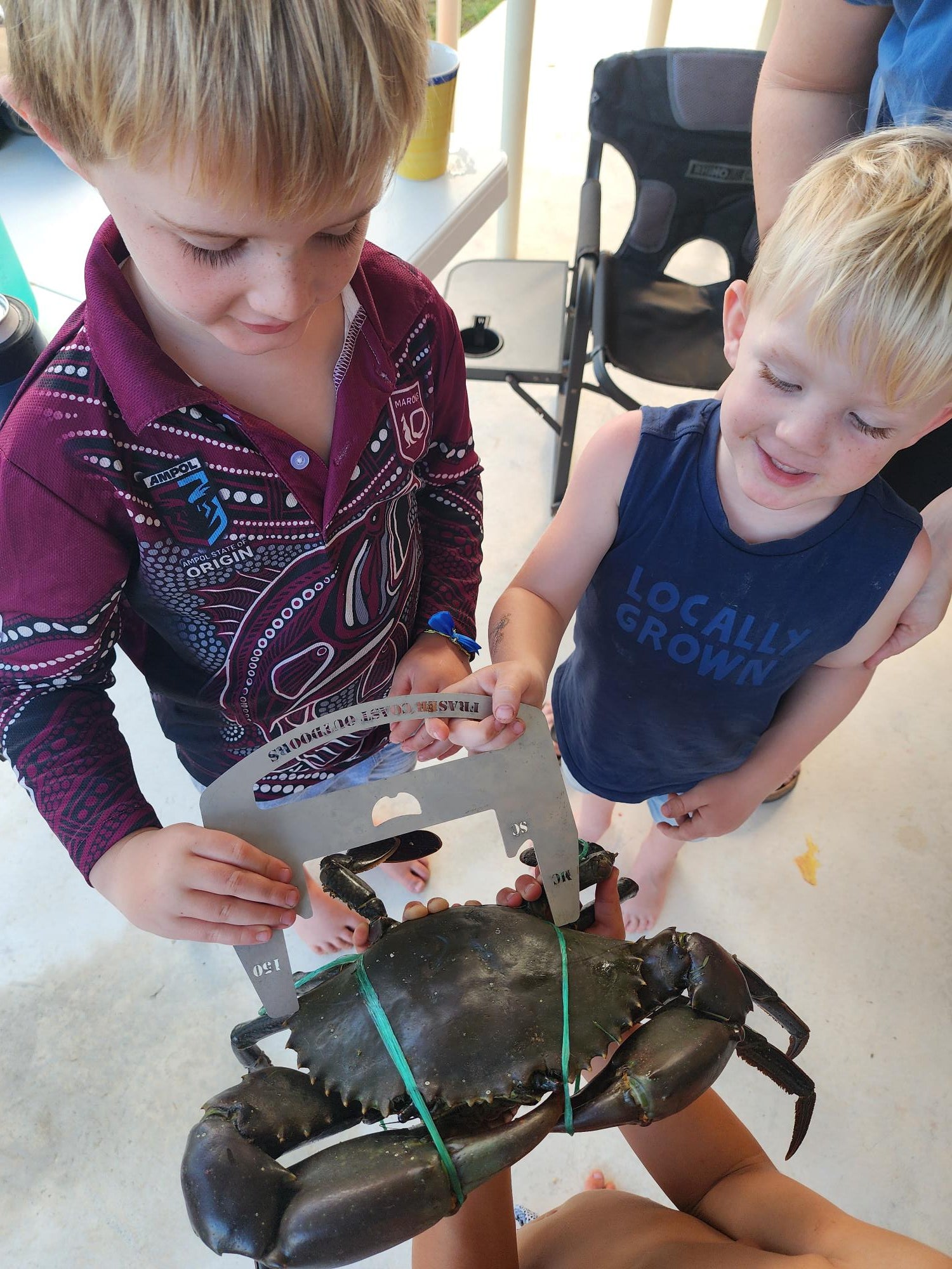 FCO Crab Measure - Fraser Coast Outdoors