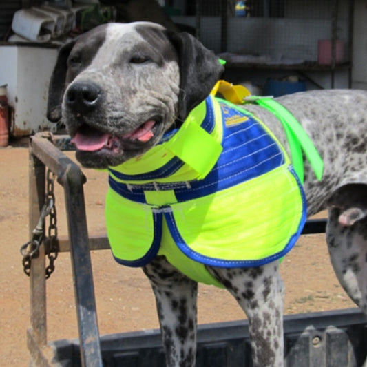 Duncans 3/4 Collar Shoulder Flaps