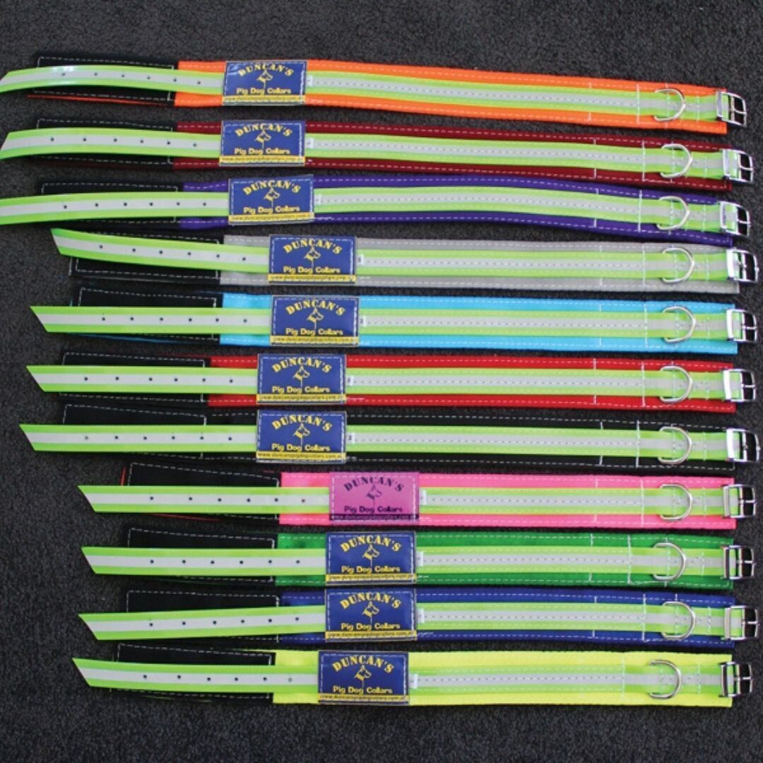 Duncans Lead Collar 50mm - Fraser Coast Outdoors