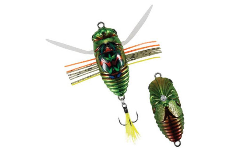 Duo Realis Shinmushi 40