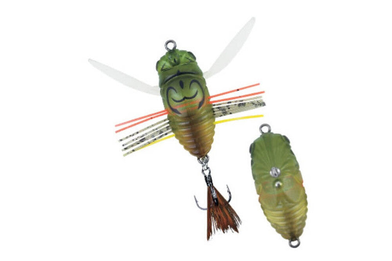 Duo Realis Shinmushi 40
