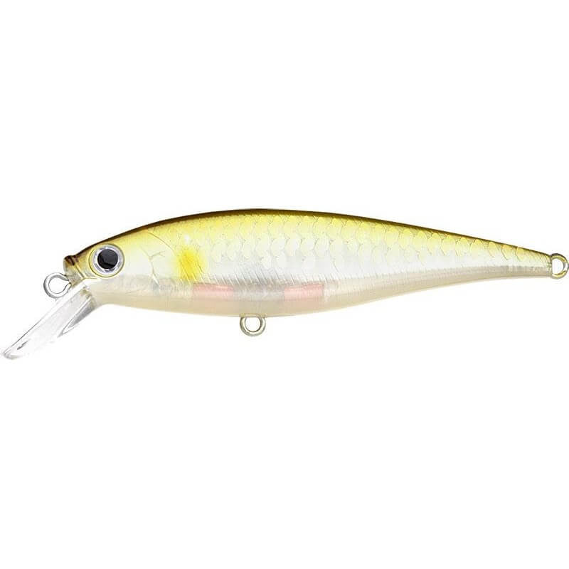 Lucky Craft Pointer 78SP - Fraser Coast Outdoors