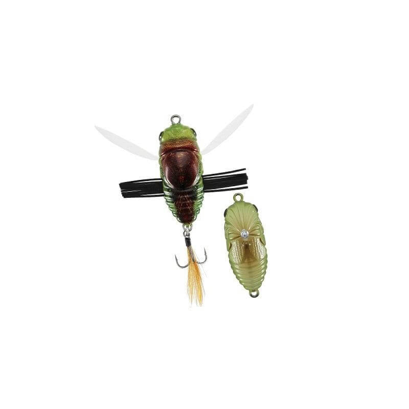 Duo Realis Shinmushi 40