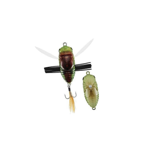 Duo Realis Shinmushi 40
