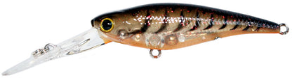 Lucky Craft Bevy Shad 60 FC - Fraser Coast Outdoors