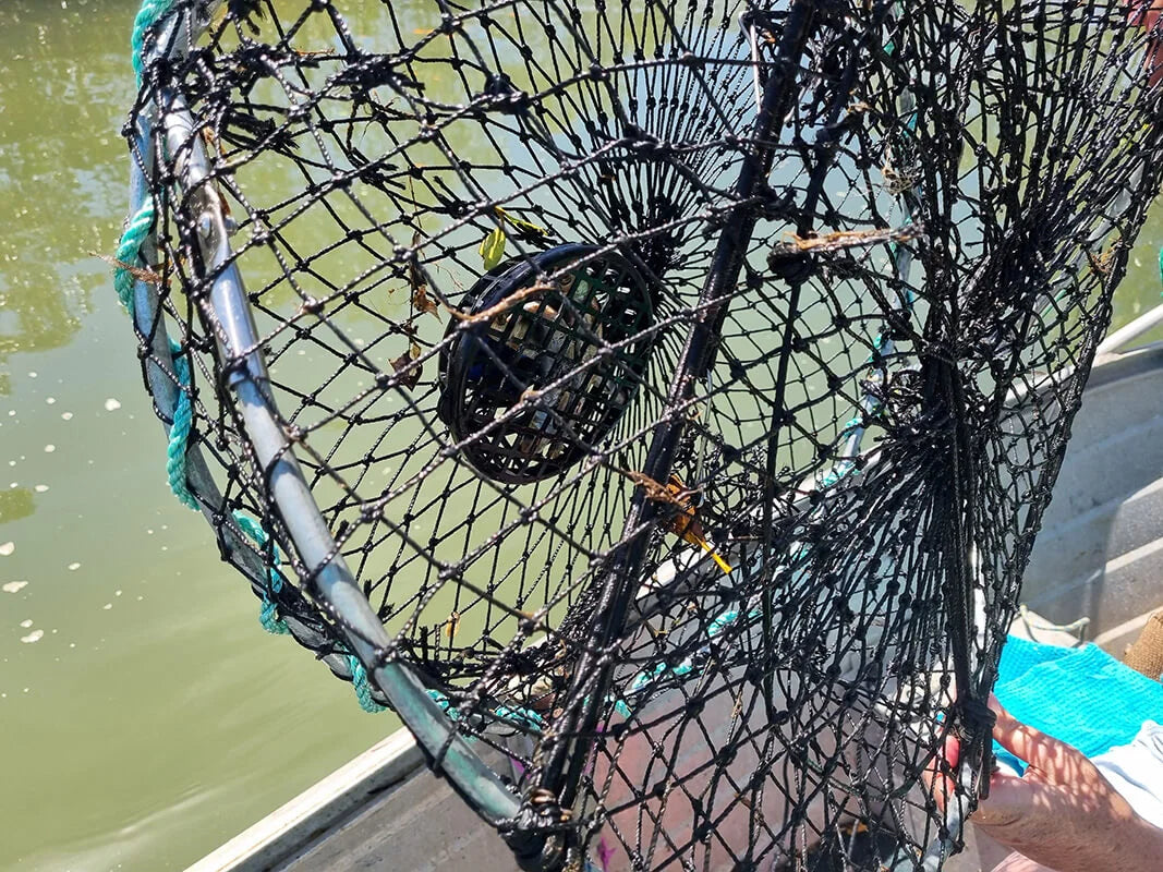 Bait Ezy -Crab Bait Holder Crab'N Gear