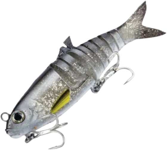 Molix Swim Shad - Fraser Coast Outdoors