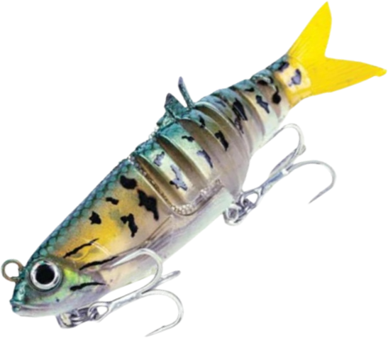 Molix Swim Shad - Fraser Coast Outdoors