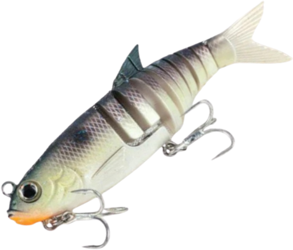 Molix Swim Shad - Fraser Coast Outdoors