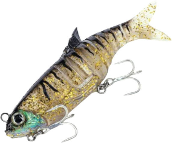 Molix Swim Shad - Fraser Coast Outdoors