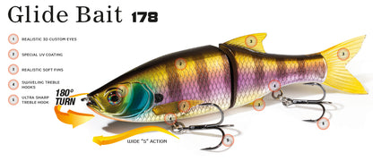 Molix Glide Bait 178 SS - Fraser Coast Outdoors