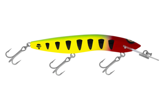 RMG Scorpion 125 DD - Fraser Coast Outdoors