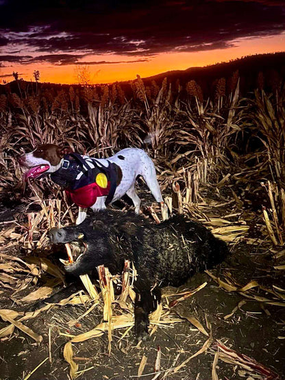 Get BeltedFull Chestplate with Leg Flaps - Fraser Coast Outdoors
