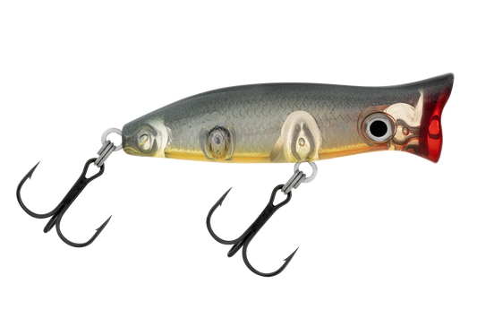 Halco Roosta Popper 60 Poddy