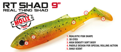 Molix RT Shad Soft Plastic Lure 9in - Fraser Coast Outdoors