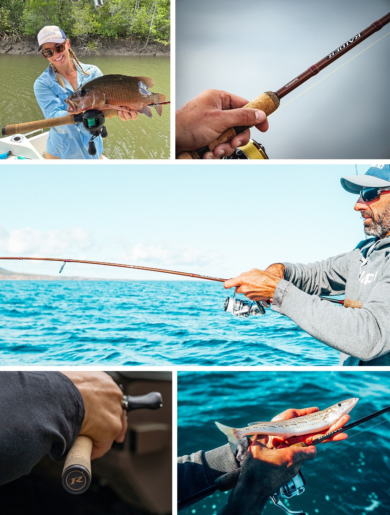 Shimano Raider Baitcast Rod - Fraser Coast Outdoors