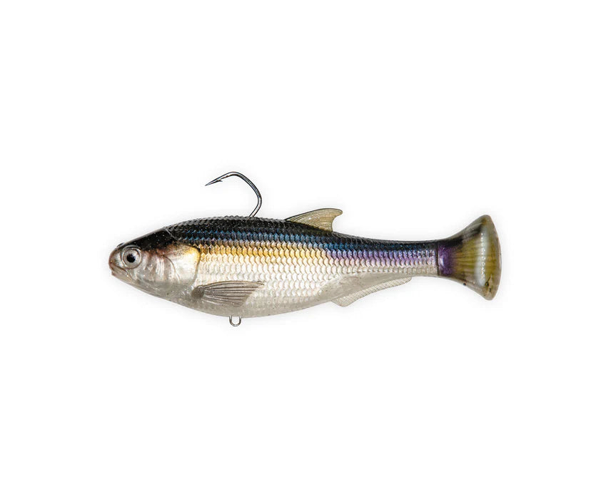 Zman Shadtron LT 4.5" - Fraser Coast Outdoors