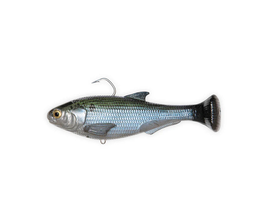Zman Shadtron LT 4.5" - Fraser Coast Outdoors