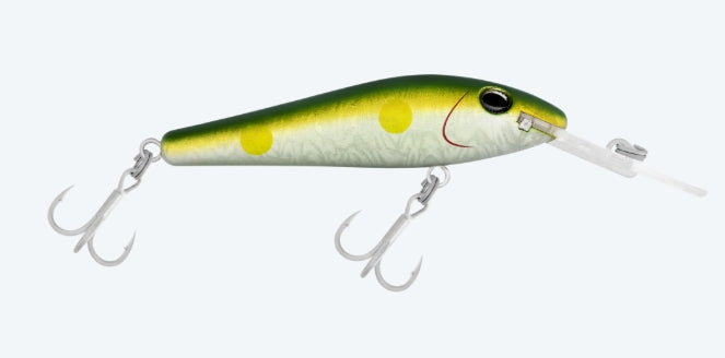 Tilsan Barra 80mm Ayu - Fraser Coast Outdoors