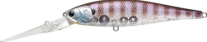 Lucky Craft Pointer 65 XD - Fraser Coast Outdoors