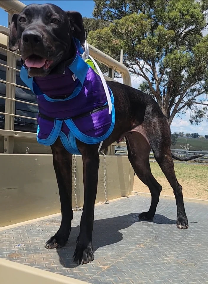 Get Belted 3/4 Chestplate With Leg flaps - Fraser Coast Outdoors