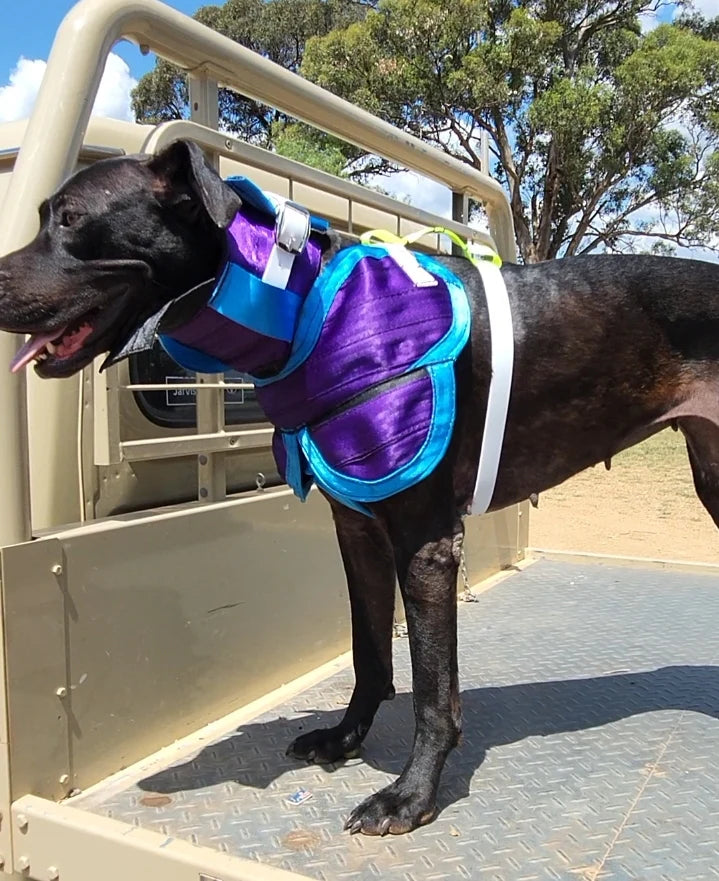 Get Belted 3/4 Chestplate With Leg flaps - Fraser Coast Outdoors