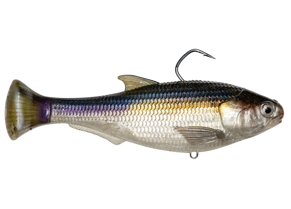 Zman Shadtron LT 6" - Fraser Coast Outdoors
