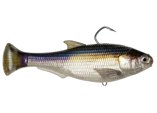 Zman Shadtron LT 6" - Fraser Coast Outdoors