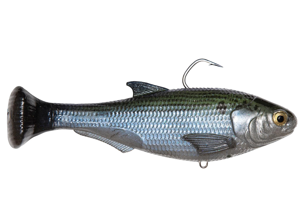 Zman Shadtron LT 6" - Fraser Coast Outdoors