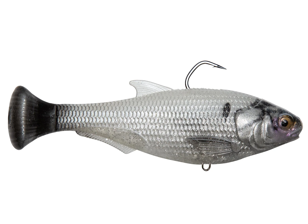 Zman Shadtron LT 6" - Fraser Coast Outdoors