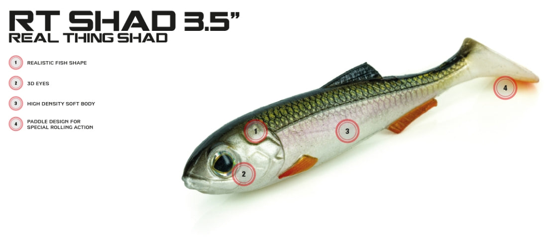 Molix RT Shad Soft Plastic Lure 3.5in