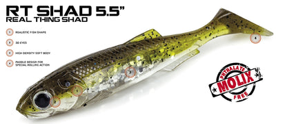 Molix RT Shad Soft Plastic Lure 5.5in