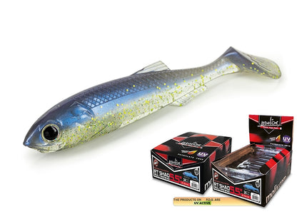 Molix RT Shad Soft Plastic Lure 5.5in