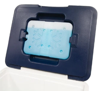 Companion 14L - Hard Cooler - Fraser Coast Outdoors